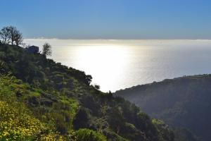 Villa Luz - Family House Vacations- Large Private Outdoor Area