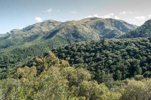 Boutique Hotel Sevilla