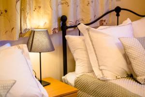 tocoro. Mt. Fuji Mutsuki