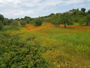 Hotel Baia Cea img12