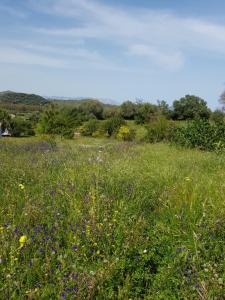 Hotel Baia Cea img11