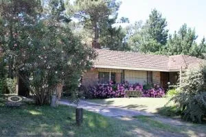 Chalet Panda - 皮纳马尔