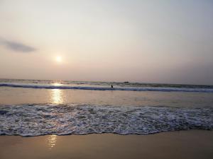 Nisadi Villa - Vily, Bentota