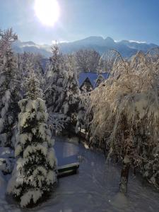 Mountain View Apartment Zakopane