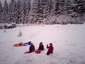 Коттедж для отдыха Дискавери