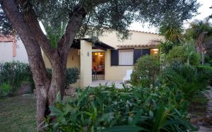 Villa Eucaliptus img4