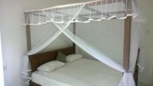 Augusto @ Midigama