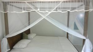 Augusto @ Midigama