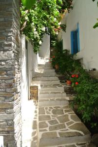 Meltemi Andros Greece