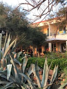 Hotels Hotel Thalassa : photos des chambres