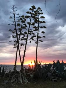 Hotels Hotel Thalassa : photos des chambres