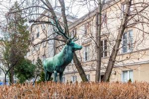 Nowy Świat Cozy Apartment Warsaw by Noclegi Renters