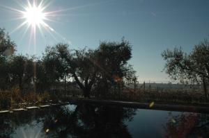 La Luna - dependance