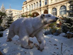 Maisons d'hotes Olguita : photos des chambres
