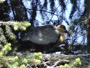 Ailín Maiá Apartamentos Casa de Montaña