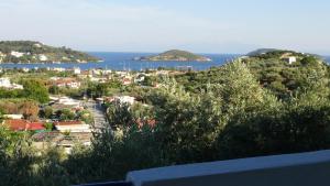 Camelia studios Skiathos Greece