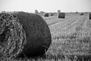 ARTgroturystyka Przystanek Błotna