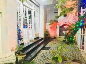 Daffodils Spice Court