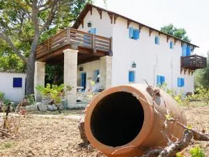 Villa Antonia - Áyios Andhréas