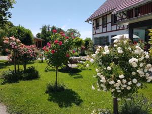 Pension Landgut Apfelrose Friedrichshafen Deutschland