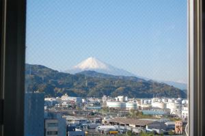 Seagrande Shimizu Station Hotel