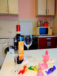 Apartments Shuvar,Chervona Kalina