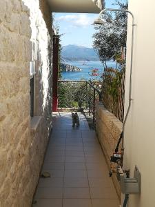 Stone House in olive grove Argolida Greece