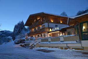Appartements Alpin