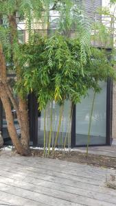 Maisons d'hotes les Aromatiques - terrasse & parking prive a VILLENEUVE LES AVIGNON - proche Golf Academy : photos des chambres