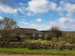 Woodpeckers Cottage - Staintondale