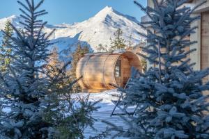 Chalets Chalet Bela Vya : photos des chambres