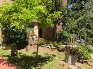 Los 3 Gringos Casa Bosque P Ramos