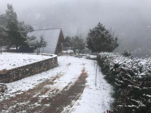 Chalet in the Forest Achaia Greece