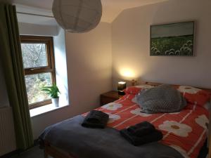 No21 Hop to Zipworld