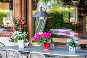 Chalets Le CHALAY : photos des chambres