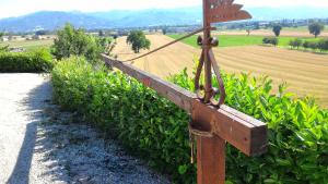 Podere Casenove