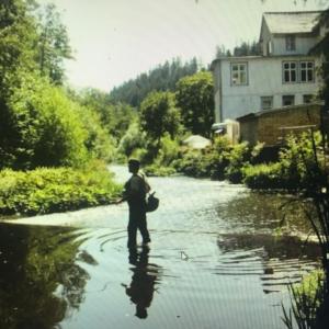 das weisse Haus am Fluss