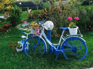 Il Bouganville img10