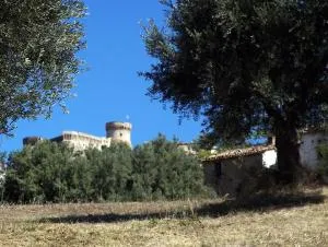 Agriturismo Aqua Viva - 阿夸维瓦皮切纳