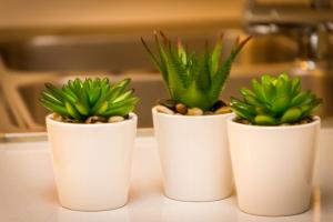 Seaside Serenity Corner by AURA