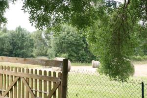 Maisons de vacances Gite Rouge Calme et Nature : photos des chambres