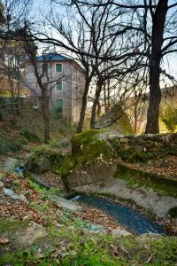 El Rincón de Elsa VuT AV296