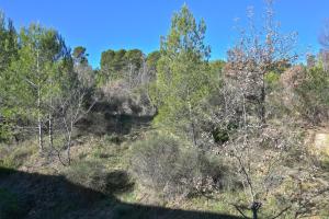 Maisons de vacances L'Oustaou du Luberon et SPA : photos des chambres