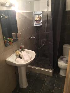 Studios on the Beach