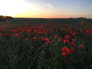 Maisons de vacances Dupres House, Chavasse Farm, Somme Battlefields : photos des chambres