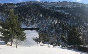 Chalet in the Forest Achaia Greece