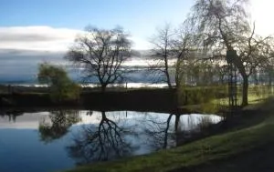 巴斯科农庄住宿加早餐旅馆 - Lescousse
