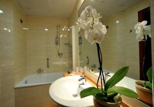 Chambre Double ou Lits Jumeaux Basique