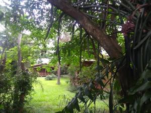 Posada de los Árboles