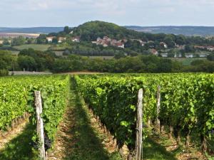 B&B / Chambres d'hotes Le Bailli de Montsaugeon : photos des chambres